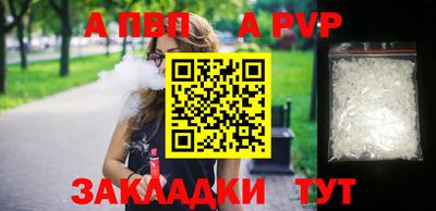 крисы Шебекино