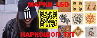 крисы Шебекино