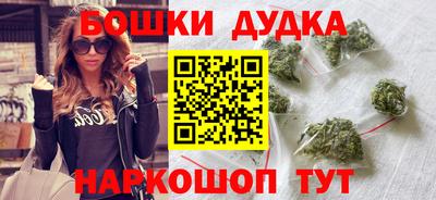 крисы Шебекино