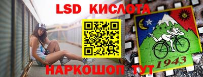 спайс Шелехов