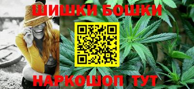 крисы Шебекино