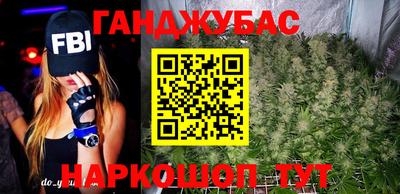 крисы Шебекино