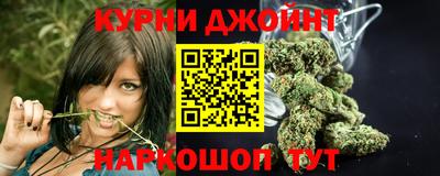 крисы Шебекино