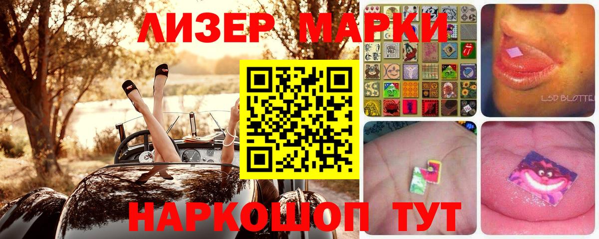 Псилоцибиновые грибы Майкоп