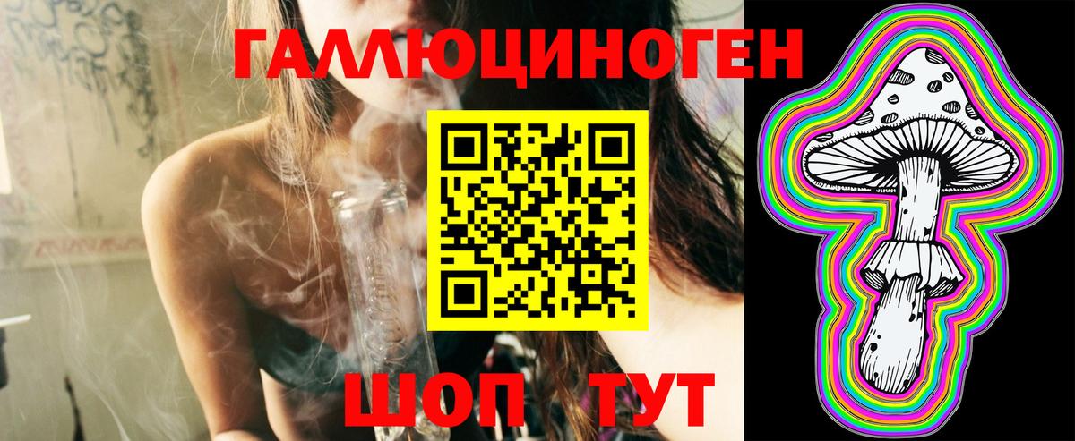 Псилоцибиновые грибы мицелий Майкоп