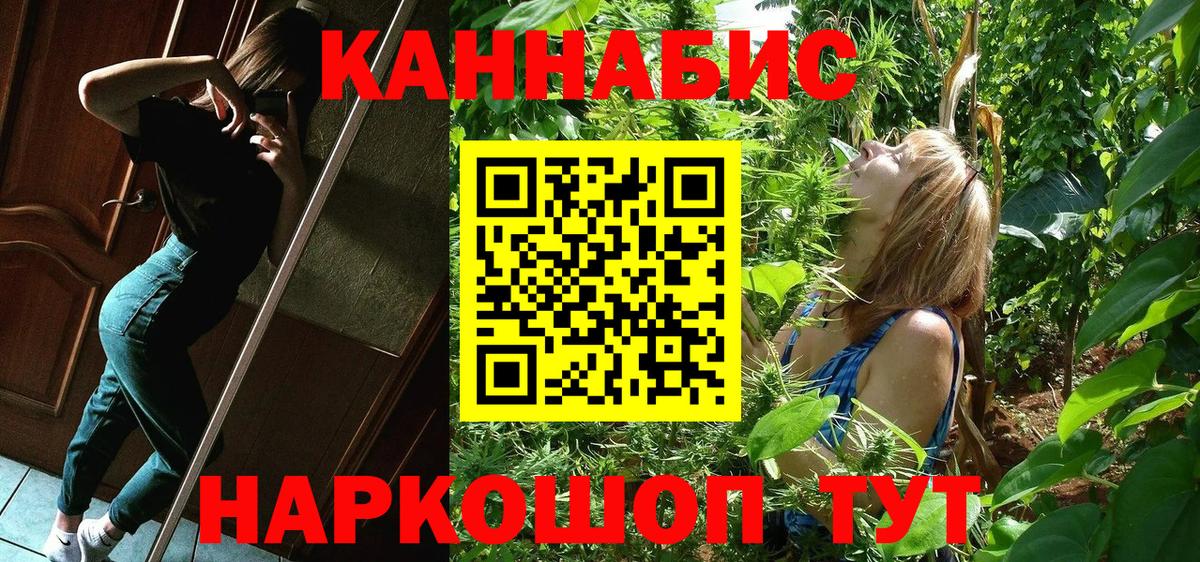 МАРИХУАНА ГИДРОПОН Майкоп